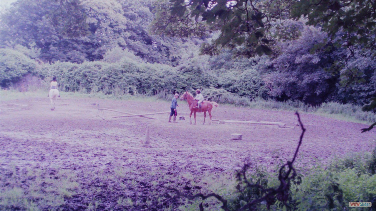 PICT0011