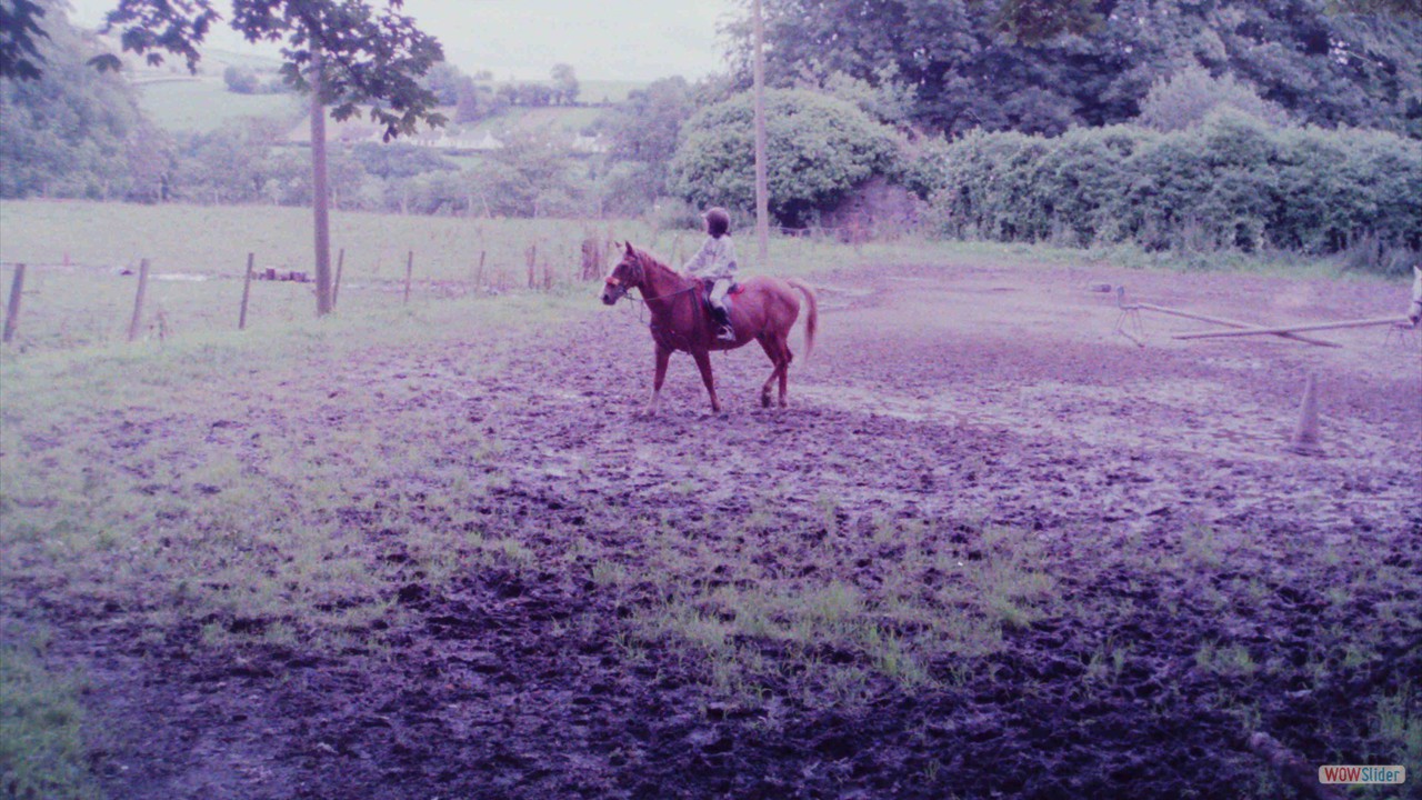 PICT0015