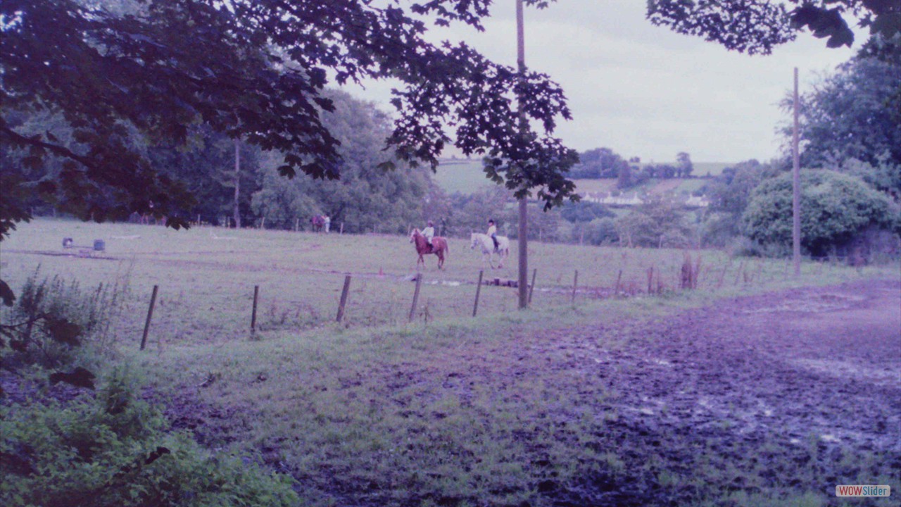 PICT0017