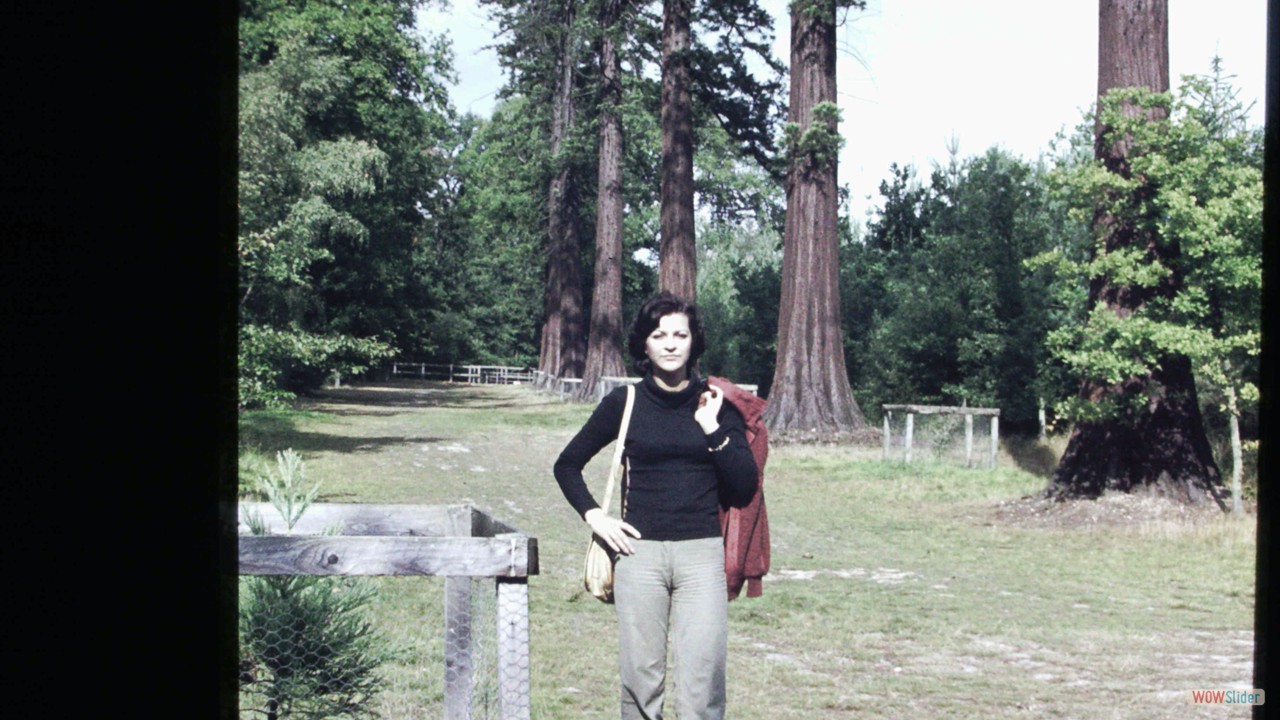 PICT0013
