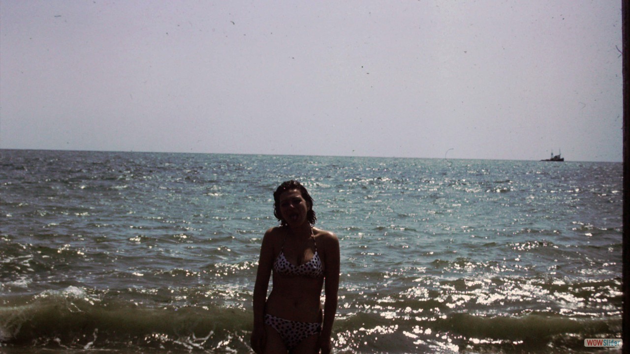 PICT0031