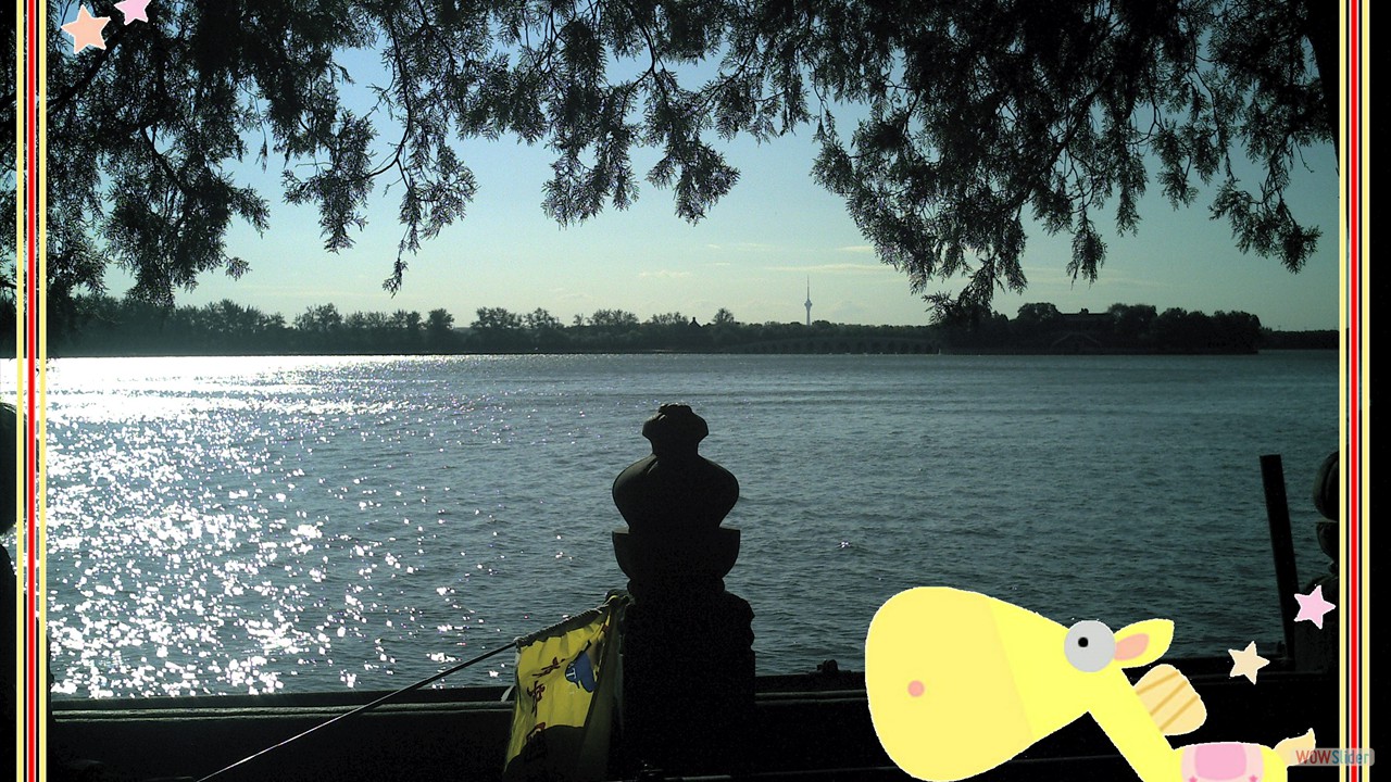 PICT0219