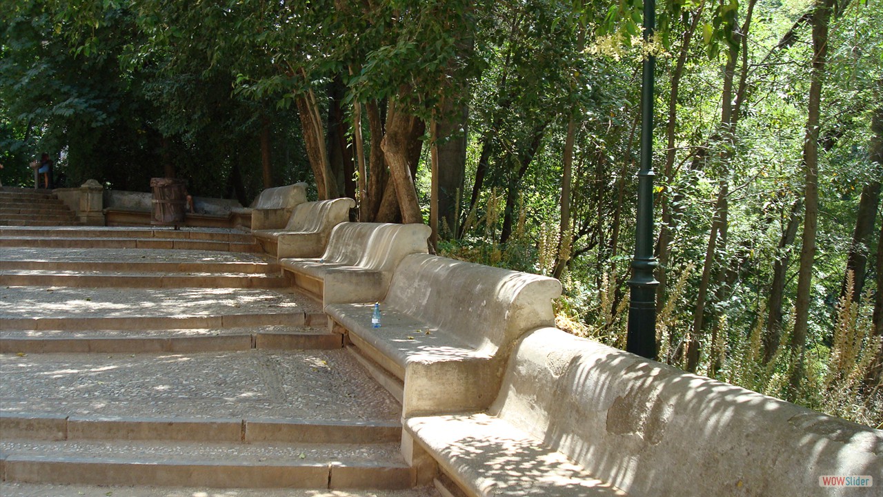 DSC00006