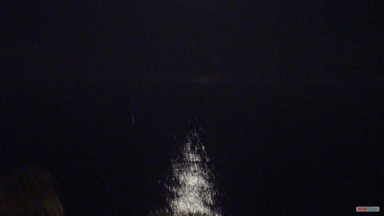 DSC00120