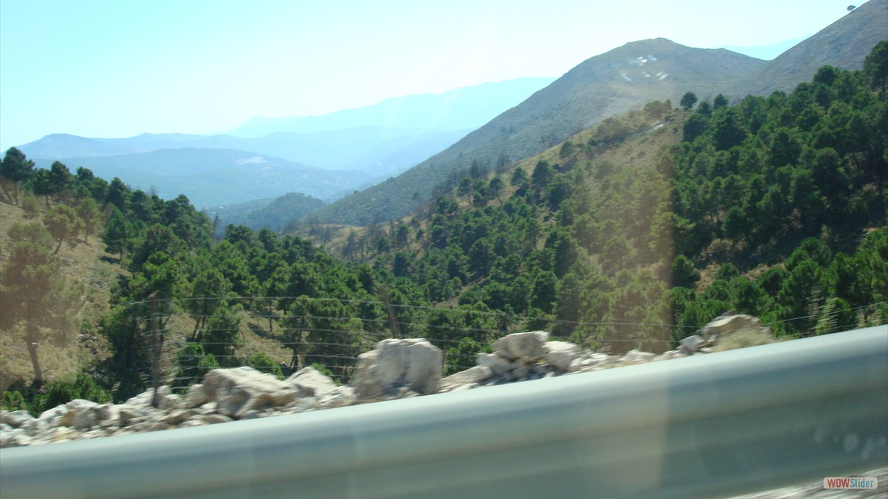 DSC00175