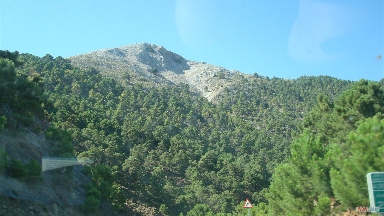 DSC00179