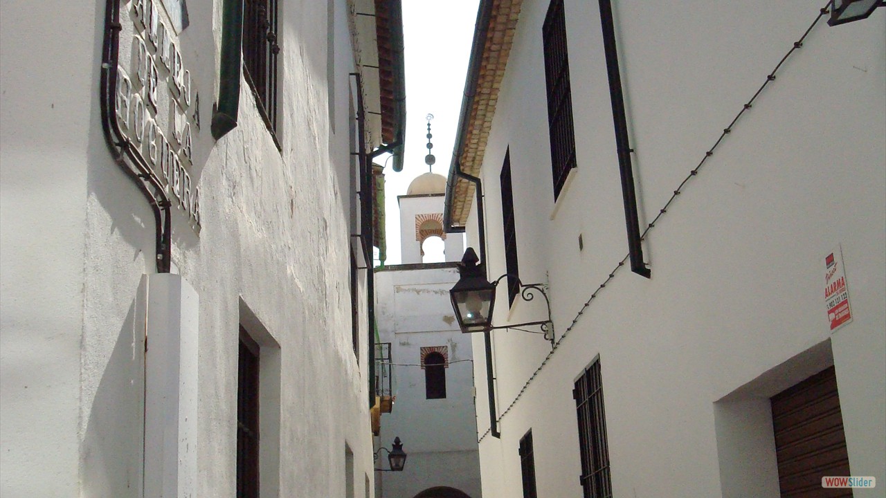 DSC00250