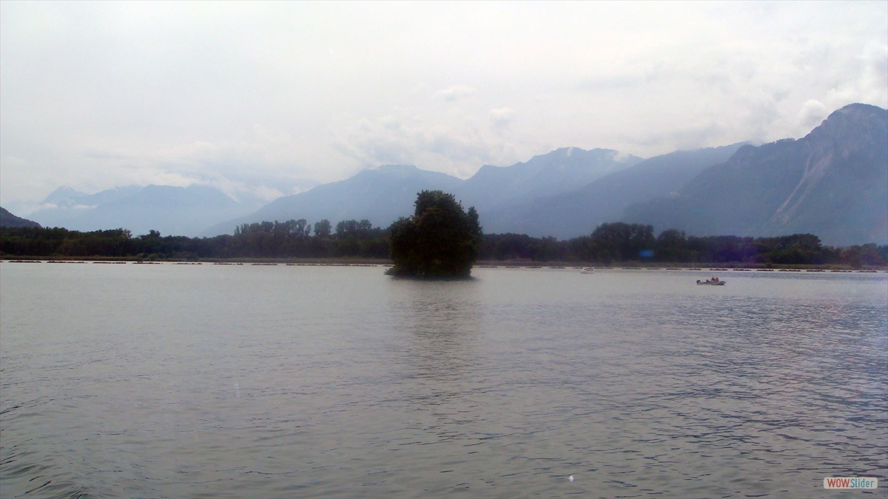DSC06589