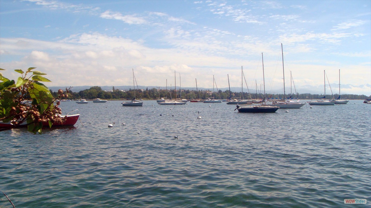 DSC06624
