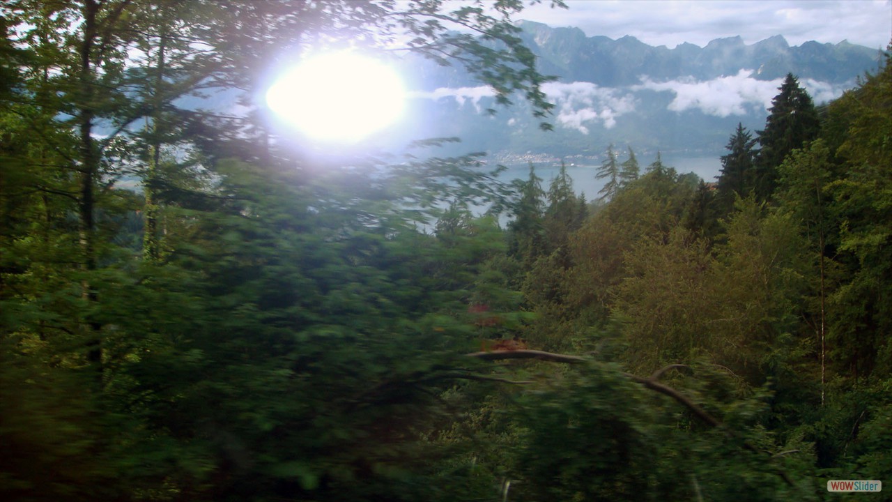 DSC06631