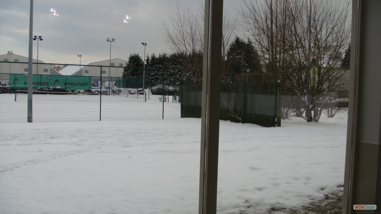 DSC00787