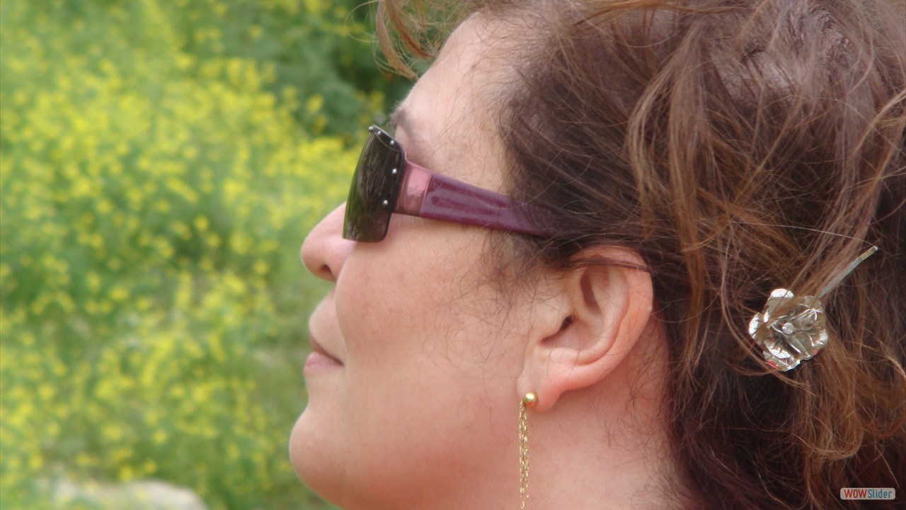 DSC00809