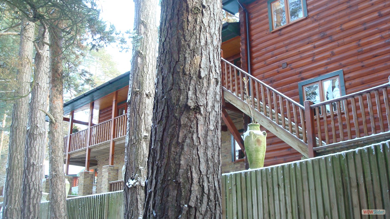 dsc05447
