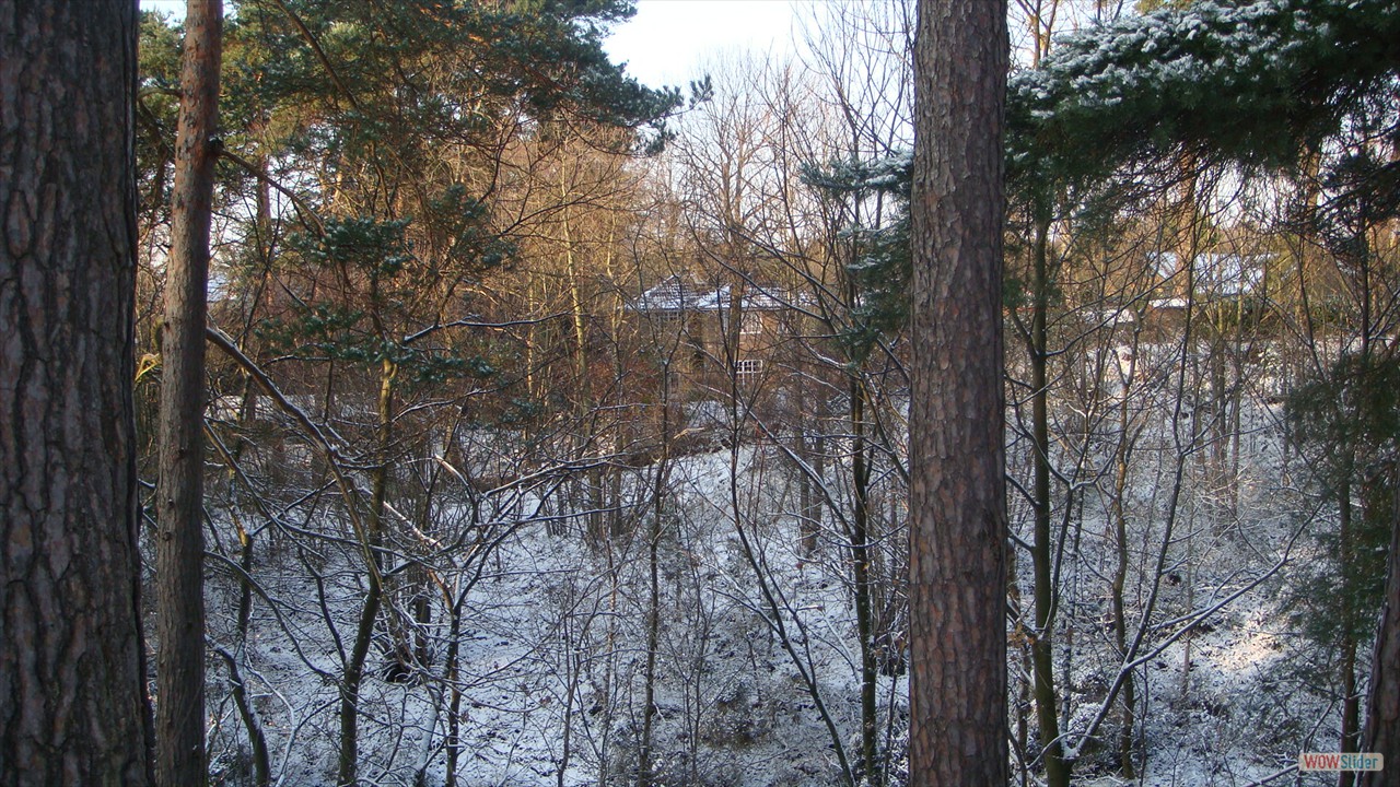 dsc05472