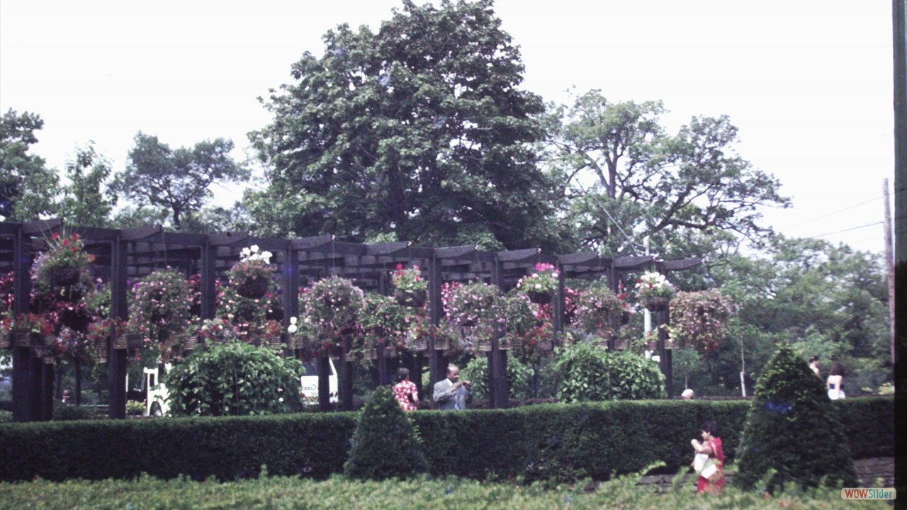 PICT0020