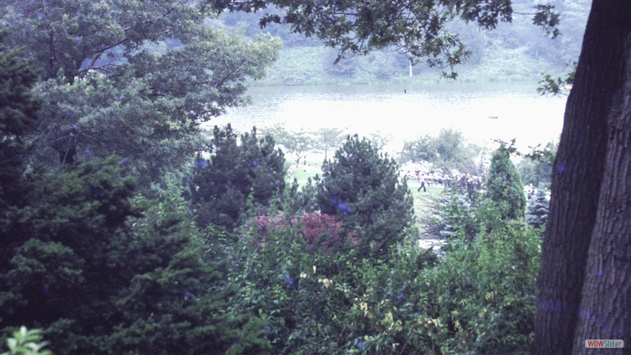 PICT0022