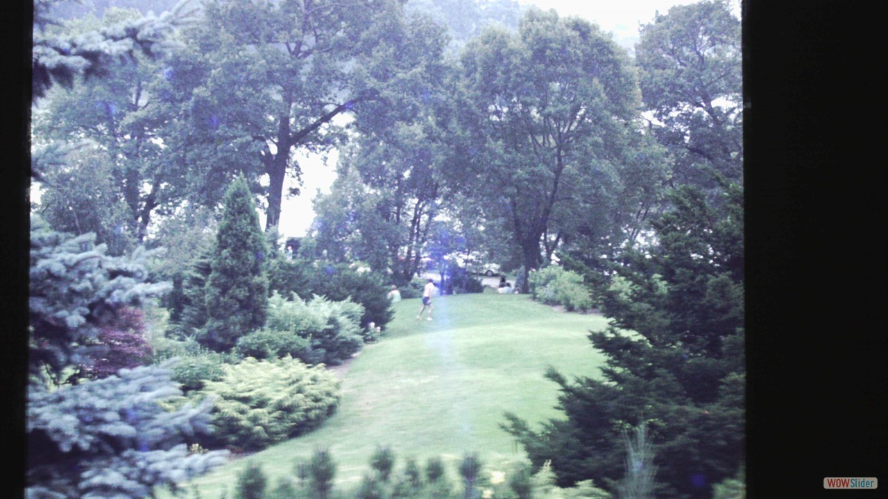 PICT0023