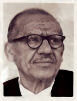 Sayed Abdulmutlib2