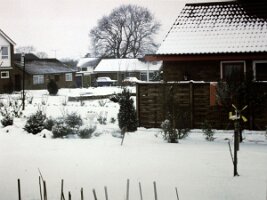 PICT0077