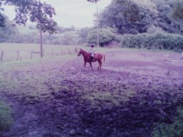 PICT0015
