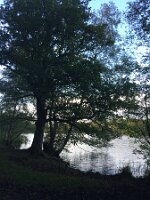 IMG_3961