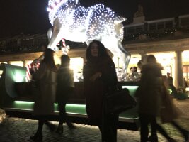 IMG_2555